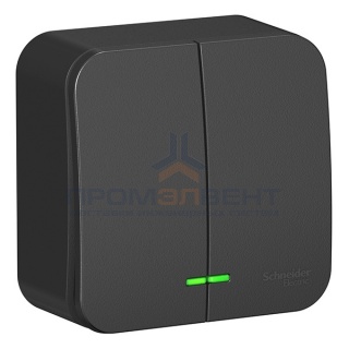 Выключатель 2-клавишный с подсветкой (cх.5) Blanca Schneider Electric 10А 250В антрацит