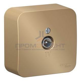 Розетка ТВ Blanca Schneider Electric титан изол.пластина